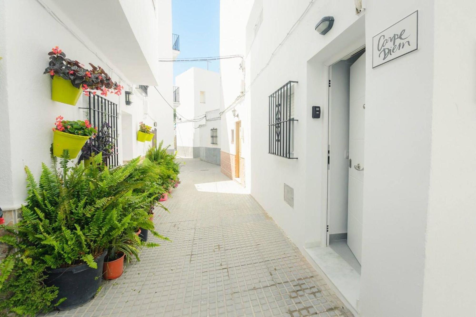 Carpe Diem - Ole Solutions Apartment