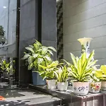 May Hotel