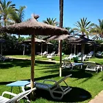 Skol 913A By Completely Marbella