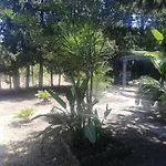 Casa De Huespedes