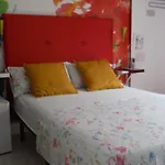 Pension Palacio