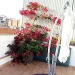 Castel Apartments