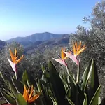 Finca Vina