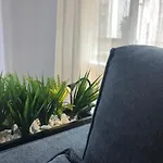 Alojamiento La Colonia