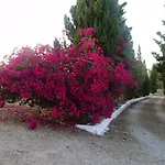 Camper Park La Manga
