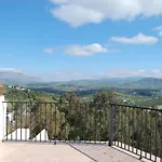 One Bedroom Penthouse