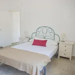 Amplio Alojamiento Con Magnificas Vista A 6 Metros De La Playa