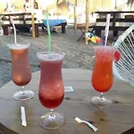 Las Violetas Casa Con Jardin