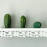 Apartamento Delta Escapada