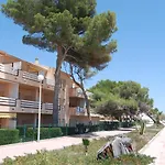 Zeus Guardamar Seaview