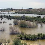 Apartamento Venavera Playa Vera Colina Apto. 3 Bajo Piscina Muy Tranquilo Wifi