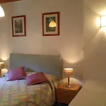 Doree 331