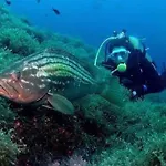 Acogedora Casita Mediterranea En Portman