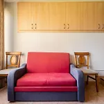 Promar Playa 255
