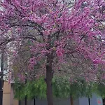 Carrer Santa Eulalia- Hospitalet De Llobregat- Bcn