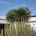 Vintersol