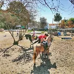 Granja America