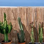 Oceanview Boutique House, 125 Sqm, Parking, Sunset Rooftop