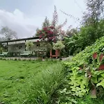 Silvershine Homestay
