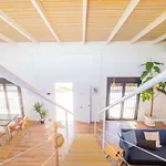 Cubo'S Villa Loft El Parador De La Sierra