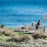 Te- Luxury Resort, Front Line Beach, Families Only