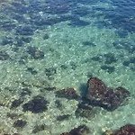 Tarongers 6