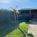 Tropical 2