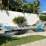 Tropical 2