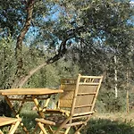 Jingtu Wellness & Spa B&B