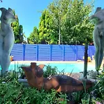 The Sculpture Yard 1