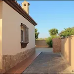Mi Oasis