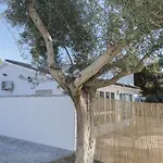 Casa Diego De Noche
