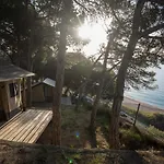 Camping Kanguro