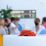 Hotel Playa De La Plata