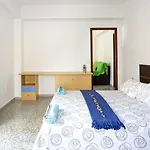 Geranios Wifi En Plena Puerta Purchena