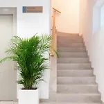 Rio Salado Conil Hostal