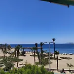 Las Palmeras 1