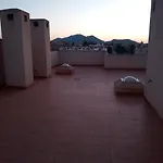 Palomaresiii