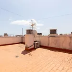 Brisa Del Delta