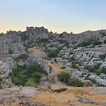 Nalkia