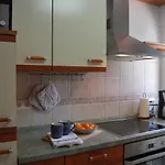 Ap322 - Mirlo