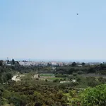 Ap322 - Mirlo