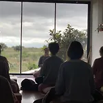 Eco Espacio Camaleon Verde 2