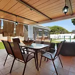 Olivos 1B