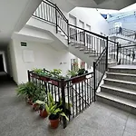 Camerino Del Falla Grupo Ac Gestion