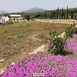 Finca Zayas Casa Rural & Guest Suites