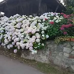 La Caleya De Abajo