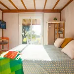 Romantic Beach Cabin - Playa El Palmar