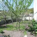 Apartamento Con Patio Al Lado De La Iglesia Igb