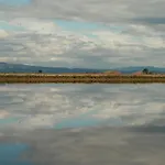 La Meva Lluna, Exclusividad En Primera Linea De Playa